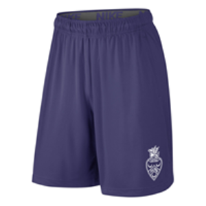 Image of PALMER MENS FLY SHORT 2.0 SPRING 2023